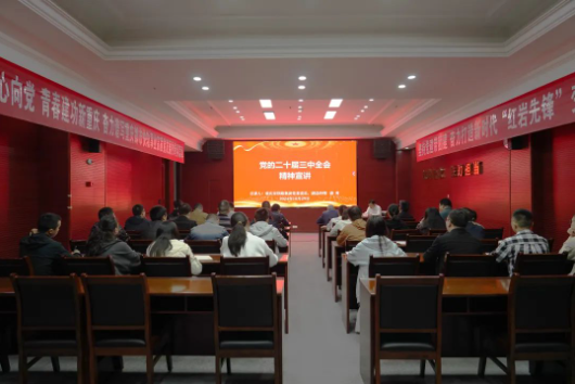 1730787764789.png 1730787764789.png