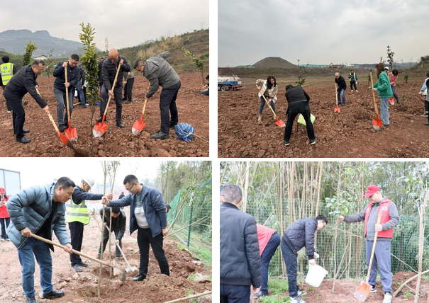 建設(shè)管理部黨總支組織開展植樹活動(dòng)3.png